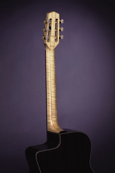 Jimmy Rosenberg Guitar Back